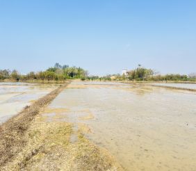 觀音大潭國小投資農地 示意圖-3