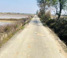 觀音大潭國小投資農地 示意圖-2