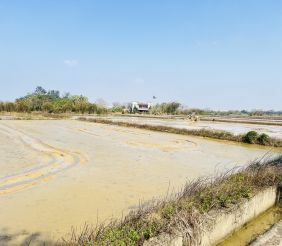 觀音大潭國小投資農地 示意圖-1