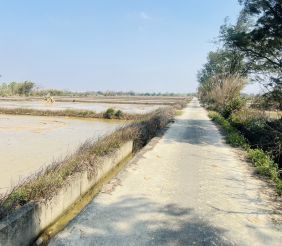 觀音大潭國小投資農地 示意圖-4