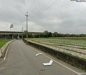㊣金橋路新興段1324坪田 示意圖-1