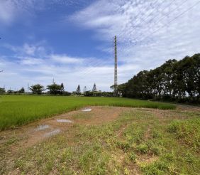 新屋三民路農地合法資材室 示意圖-5
