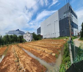 觀音草漯旁一般農地 示意圖-7